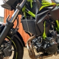 Pyramid Plastics parts Pyramid Radiator Guard | Matte Black | Kawasaki Ninja 650 2017>2019 | 523650M | pyr_523650M | euronetbike-net
