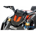 Ilmberger Carbon Ilmberger Instrument cover gloss Diavel'19 | VEO-001-DI19G-K | ilm_VEO_001_DI19G_K | euronetbike-net