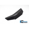 Ilmberger Carbon Ilmberger Radiator cover left gloss V4 Streetfighter | WKL.017.SFV4G.K | ilm_WKL_017_SFV4G_K | euronetbike-net