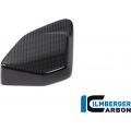 Ilmberger Carbon Ilmberger ESA Box cover R 1250 GS | ESA.034.GS19T.K | ilm_ESA_034_GS19T_K | euronetbike-net