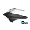 Ilmberger Carbon Ilmberger Front fairing gloss Panigale V4R Racing | VEO-064-V4RRG-K | ilm_VEO_064_V4RRG_K | euronetbike-net