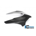 Ilmberger Carbon Ilmberger Front fairing gloss Panigale V4R Racing | VEO-064-V4RRG-K | ilm_VEO_064_V4RRG_K | euronetbike-net