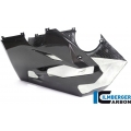 Ilmberger Carbon Ilmberger Bellypan gloss Panigale V4 Racing | VEU.036.DPV4G.K | ilm_VEU_036_DPV4G_K | euronetbike-net