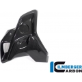 Ilmberger Carbon Ilmberger Airtube left incl. Flap (2 pieces) BMW R 1250 GS | WKL.004.GS19T.K | ilm_WKL_004_GS19T_K | euronetbike-net