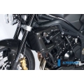 Ilmberger Carbon Ilmberger Radiator Cover (left) Carbon - Triumph Street Triple 675 | ilm_WKL_009_TRSTR_K | euronetbike-net
