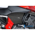Ilmberger Carbon Ilmberger Airbox Cover (right) Carbon - Honda CB 1000 R | ilm_ABR_008_CB10R_K | euronetbike-net