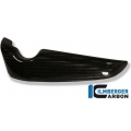 Ilmberger Carbon Ilmberger Radiator Cover (right) Carbon - Harley Davidson V-Rod | ilm_WKR_005_HDVRG_K | euronetbike-net