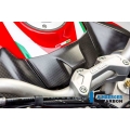 Ilmberger Carbon Ilmberger Ignition switch cover matt surface Ducati MTS 1200'15 | ilm_ZSA_113_D15MM_K | euronetbike-net