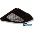 Ilmberger Carbon Ilmberger Injection Cover Carbon - BMW R 1200 GS | ilm_8160973 | euronetbike-net