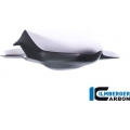 Ilmberger Carbon Ilmberger Swing arm cover matt Panigale V4 / V4 S | ilm_SSO_103_DPV4M_K | euronetbike-net