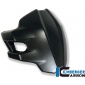 Ilmberger Carbon Ilmberger Rear Splash Guard Carbon - Ducati Multistrada 1200 ab 2013 | ilm_SPS_104_MTS12_K | euronetbike-net