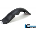 Ilmberger Carbon Ilmberger Swing arm cover set 2-parts matt Ducati XDiavel'16 | ilm_SSO_126_XD16M_K | euronetbike-net