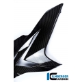 Ilmberger Carbon Ilmberger Side Fairing right Side Carbon - BMW S 1000 R | ilm_VER_209_S100N_K | euronetbike-net
