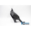 Ilmberger Carbon Ilmberger Swing Arm Cover gloss Panigale V4 (S) from 2022 | SSO.009.V422G.K | ilm_SSO_009_V422G_K | euronetbike-net