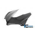 Ilmberger Carbon Ilmberger Front fairing gloss Panigale V4R Racing | VEO-064-V4RRG-K | ilm_VEO_064_V4RRG_K | euronetbike-net