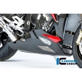 Ilmberger Carbon Ilmberger Bellypan Carbon - BMW S 1000 R | ilm_VEU_215_S100N_K | euronetbike-net