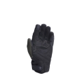 Dainese wear Dainese Torino Gloves Black/Grape-Leaf | 201815969-52F | dai_201815969-52F_XS | euronetbike-net