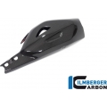 Ilmberger Carbon Ilmberger Swing arm cover Ducati Diavel V4 from 2023 gloss | SSO.025.DI23G.K | ilm_SSO_025_DI23G_K | euronetbike-net