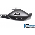 Ilmberger Carbon Ilmberger Swing arm cover Ducati Diavel V4 from 2023 matt | SSO.125.DI23M.K | ilm_SSO_125_DI23M_K | euronetbike-net