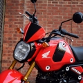 Pyramid Plastics Pyramid Fly Screen | Queen Bee Yellow & Gloss Black | Honda MSX 125 2021>Current | 21280H | pyr_21280H | euronetbike-net