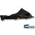 Ilmberger Carbon Ilmberger Fairing Side Panel Upper / Badge Holder (right) Carbon - BMW S 1000 RR Road (2010-2014) / HP 4 | VER.027.S100S.K | ilm_VER_027_S100S_K | euronetbike-net