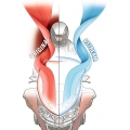 National Cycle NATIONAL CYCLE windshield VStream , | 115029 | nac_115029 | euronetbike-net