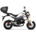 SHAD Shad TOP MASTER HONDA MSX 125 '17'18 | H0MS17ST | shad_H0MS17ST | euronetbike-net