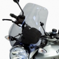 Secdem screens Secdem Wind shields BMW R 1200 R Mini Rangers 06/10, Clear | BB058PBIN | sec_BB058PBIN | euronetbike-net