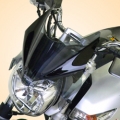 Secdem screens Secdem Screen standard SUZUKI 600 GSR 06/12, Light-brown | BS093STFC | sec_BS093STFC | euronetbike-net