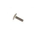 BMW OEM Parts BMW Lens screw | 71607654904 | bm_71607654904 | euronetbike-net