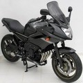 Ermax Ermax high protection screen (43 cm ) ermax for XJ 6 diversion 2009-2017 satin grey | 010283051 | erm_010283051 | euronetbike-net