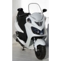 Ermax Ermax windshield original size (54cm ) ermax for 125 S2 2006-2010 light black | 024003005 | erm_024003005 | euronetbike-net