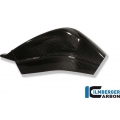 Ilmberger Carbon Ilmberger Swing Arm Covers (set - left and right) Carbon - BMW S 1000 RR Stocksport/Racing (2010-now) | ilm_SCA_073_S1RAB_K | euronetbike-net