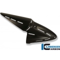 Ilmberger Carbon Ilmberger Side Exhaust Protector Carbon - Ducati Diavel | ilm_AHS_003_DIAVE_K | euronetbike-net