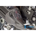 Ilmberger Carbon Ilmberger Exhaust protector gloss Ducati Monster 1200R | ilm_AHS_004_MR12G_K | euronetbike-net