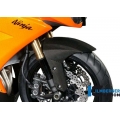 Ilmberger Carbon Ilmberger Front Mudguard Carbon - Kawasaki ZX 10 R MY 08/09 | ilm_KVO_001_ZX10R_K | euronetbike-net