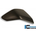 Ilmberger Carbon Ilmberger Frame Cover Inset (left) Carbon - Ducati 1199 / 1299 Panigale | ilm_SEL_029_D1199_K | euronetbike-net