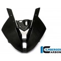 Ilmberger Carbon Ilmberger Front Race Fairing Carbon - BMW S 1000 RR (from 2015) | ilm_VEO_352_S1R15_K | euronetbike-net
