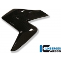 Ilmberger Carbon Ilmberger Radiator Cover (left) Carbon - Honda CB 1000 R | ilm_WKL_007_CB10R_K | euronetbike-net