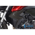 Ilmberger Carbon Ilmberger Radiator Cover (left) Carbon - Honda CB 1000 R | ilm_WKL_007_CB10R_K | euronetbike-net