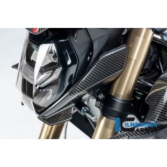 Ilmberger Carbon Ilmberger Side Cover Fairing left side BMW S 1000 R 2021 | VOL.005.S121N.K | ilm_VOL_005_S121N_K | euronetbike-net