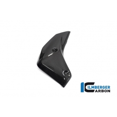 Ilmberger Carbon Ilmberger Watercooler Cover left BMW R 1250 R (LC) 2019 | WKL-001-R125R-K | ilm_WKL_001_R125R_K | euronetbike-net