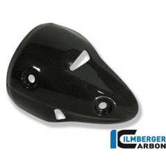 Ilmberger Carbon Ilmberger Exhaust Protection right Carbon - Ducati 696 / 1100 Monster | ilm_AHR_004_D696M_K | euronetbike-net