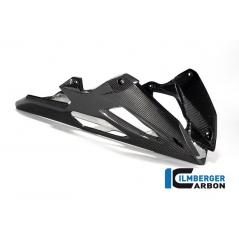 Ilmberger Carbon Ilmberger Bellypan one piece BMW S 1000 R 2021 | VEU.011.S121N.K | ilm_VEU_011_S121N_K | euronetbike-net