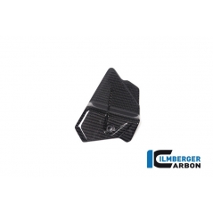 Ilmberger Carbon Ilmberger Electrical cable cover BMW S 1000 RR Street 2019 | EKA-033-S119S-K | ilm_EKA_033_S119S_K | euronetbike-net