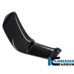 Ilmberger Carbon Ilmberger Radiator cover right Ducati XDiavel'16 | ilm_WKR_005_XD16G_K | euronetbike-net