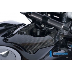 Ilmberger Carbon Ilmberger Ignition Switch Cover Carbon - Ducati Streetfighter | ilm_TDA_008_STRFI_K | euronetbike-net