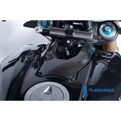 Ilmberger Carbon Ilmberger Ignition Switch Cover Carbon - Ducati Streetfighter | ilm_TDA_008_STRFI_K | euronetbike-net