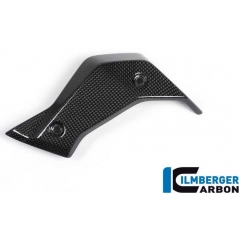 Ilmberger Carbon Ilmberger Watercooler Cover left Side Carbon - BMW R 1200 R (LC) from 2015 | ilm_WKL_010_R12RL_K | euronetbike-net