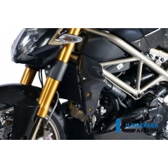 Ilmberger Carbon Ilmberger Watercooler Cover left Side Carbon - Ducati Streetfighter | ilm_WKL_012_STRFI_K | euronetbike-net